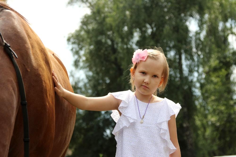 Включи девочка превратилась. Лошадь и дочь. Лошадь дочь Фарвон. Какая порода подходит восьмилетним девочкам. Фото дети Железногорска Курской области.